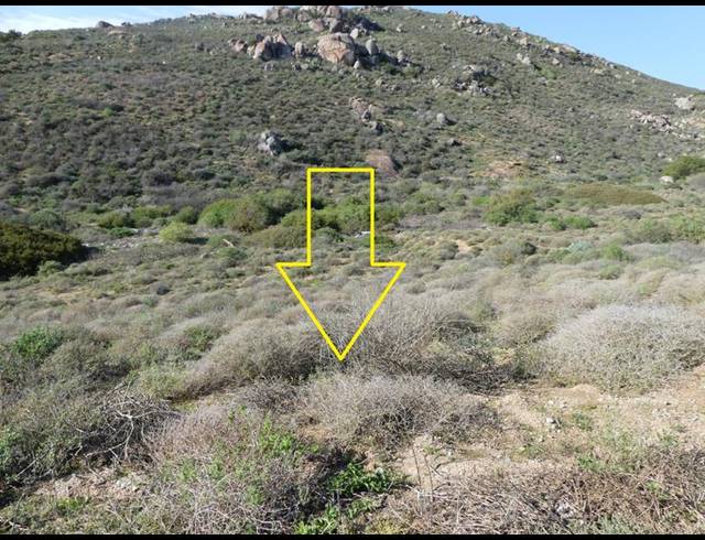 LAND FOR SALE IN ST HELENA VIEWS